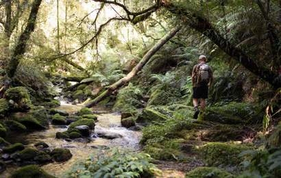 Background image for Welcome to Lexton, Victoria, Where You'll Find Wine Country and Australia's Biggest Bush Doof