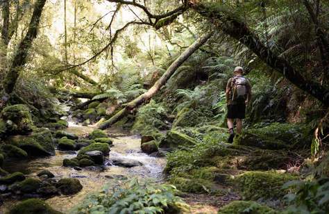 Welcome to Lexton, Victoria, Where You'll Find Wine Country and Australia's Biggest Bush Doof