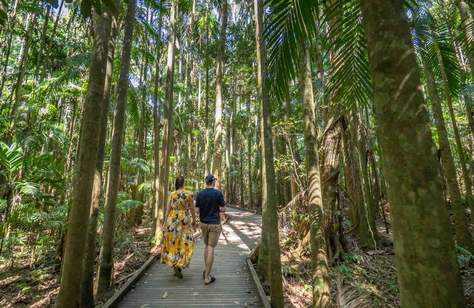 Mary Cairncross Scenic Reserve