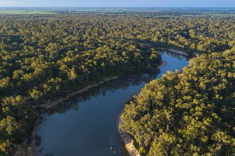 Murray River bird's eye view