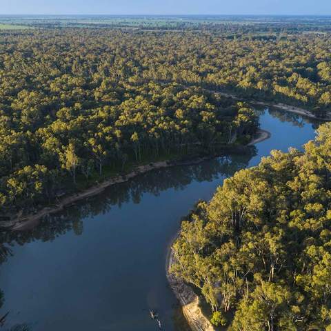 Murray River bird's eye view