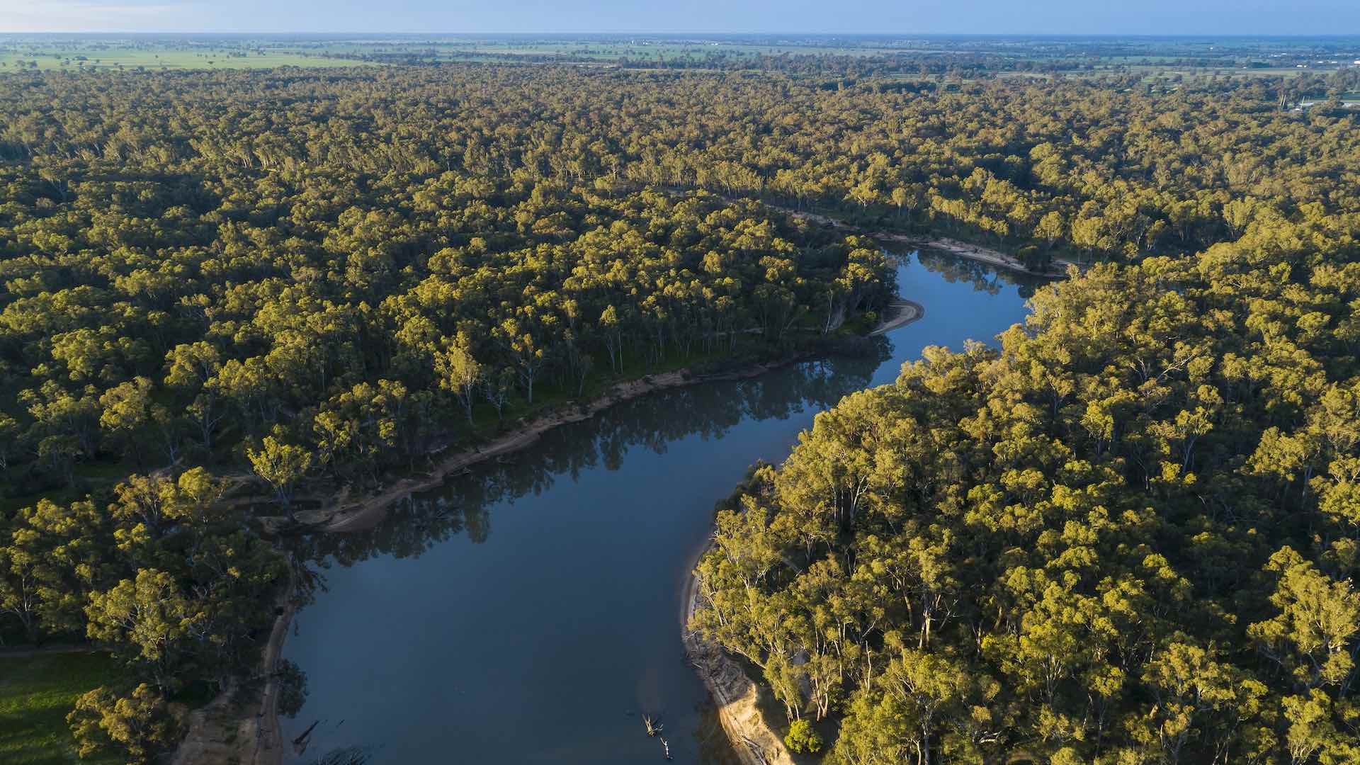 Murray River bird's eye view