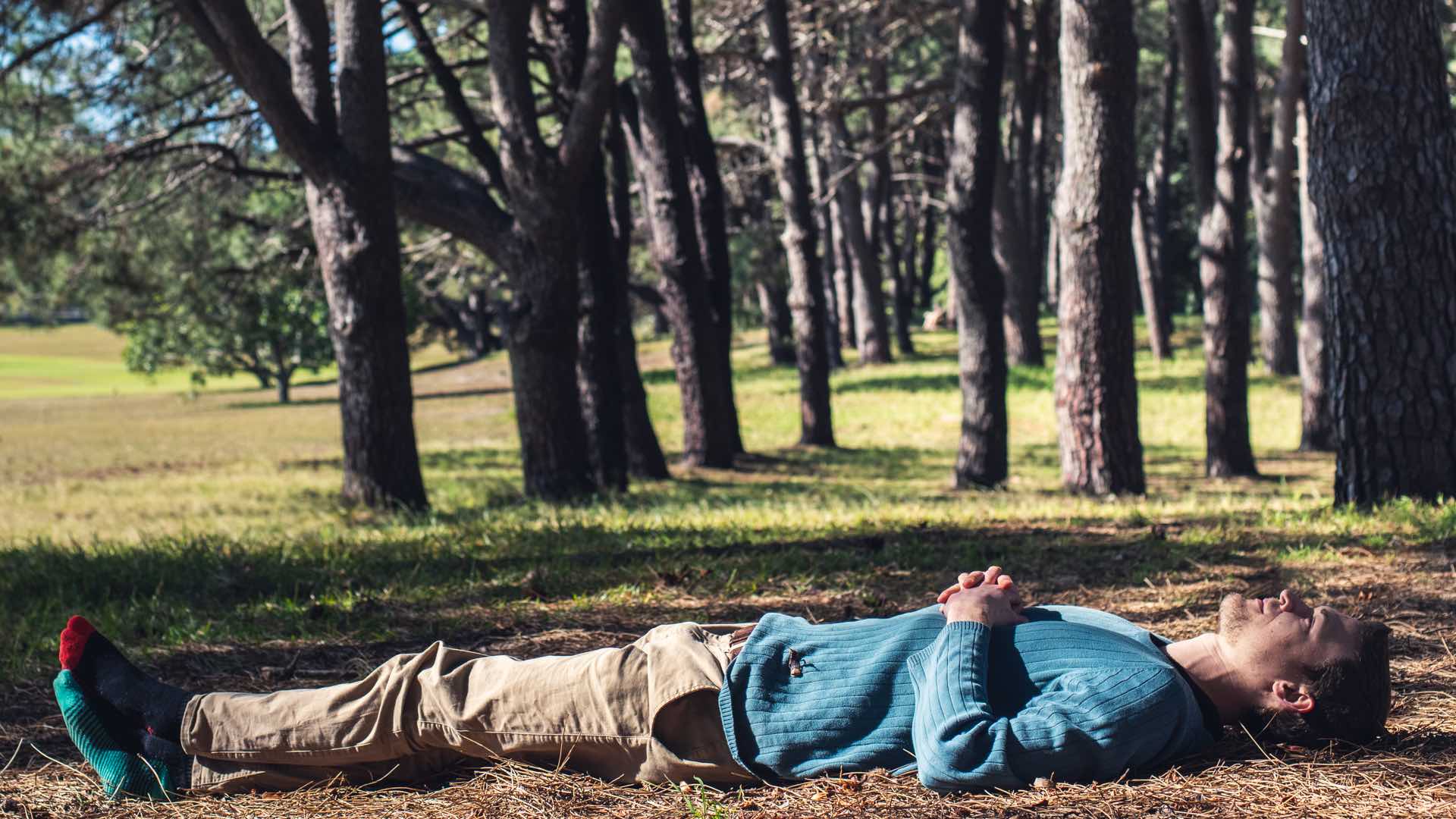 Nature therapy man lying in park