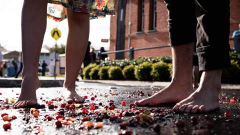 Stanthorpe Apple & Grape Harvest Festival