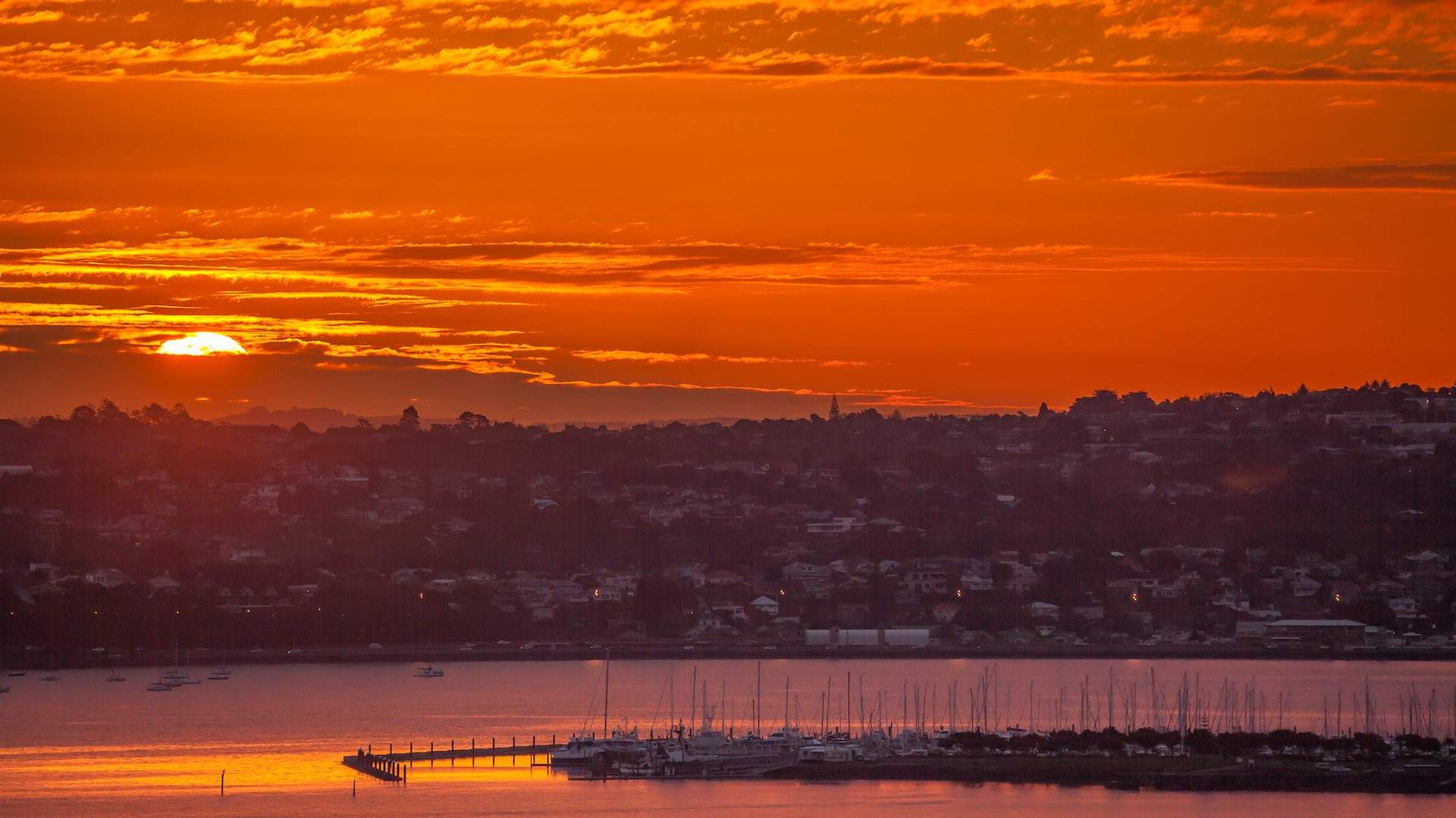 Bayswater Marina Auckland at sunset