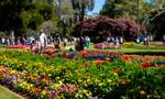 Toowoomba Carnival of Flowers 2022