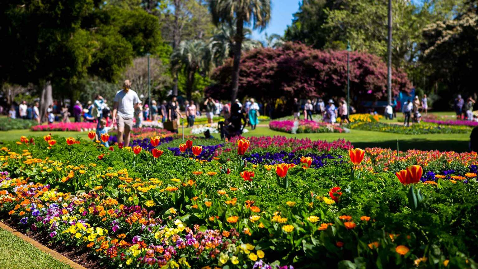 Mark Your Calendar Toowoomba's Carnival of Flowers Has Unveiled Its