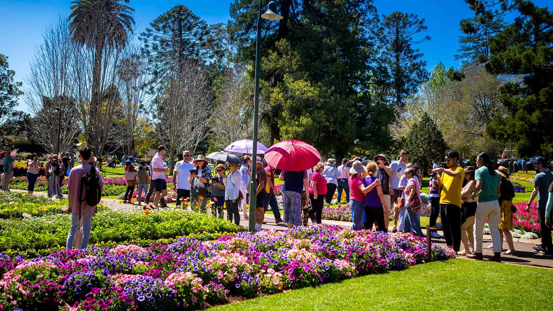 Toowoomba Carnival of Flowers Is Back for 2022 with 190,000 Blooms and a Floral-Inspired Food Trail