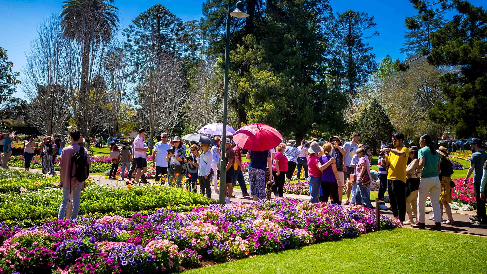 Mark Your Calendar: Toowoomba's Carnival of Flowers Has Unveiled Its Blooming Great Dates for 2024