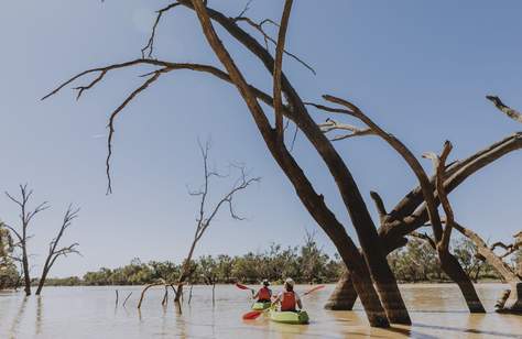 Warrego River