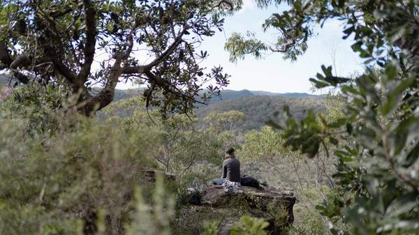 Woman sitting and looking out at bushland landscape