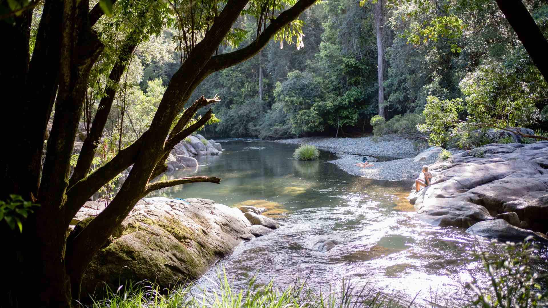 Seven Reasons Barrington Tops Is an Underrated Weekend Getaway Spot Concrete Playground