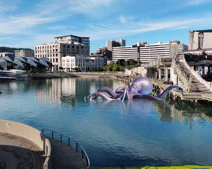 Interactive Outdoor Art Exhibit 'Kura Moana' Is Arriving on Wellington's Waterfront This Month