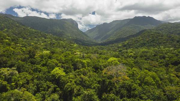 Aerial view of Mossman Gorge, located in the Daintree National Park