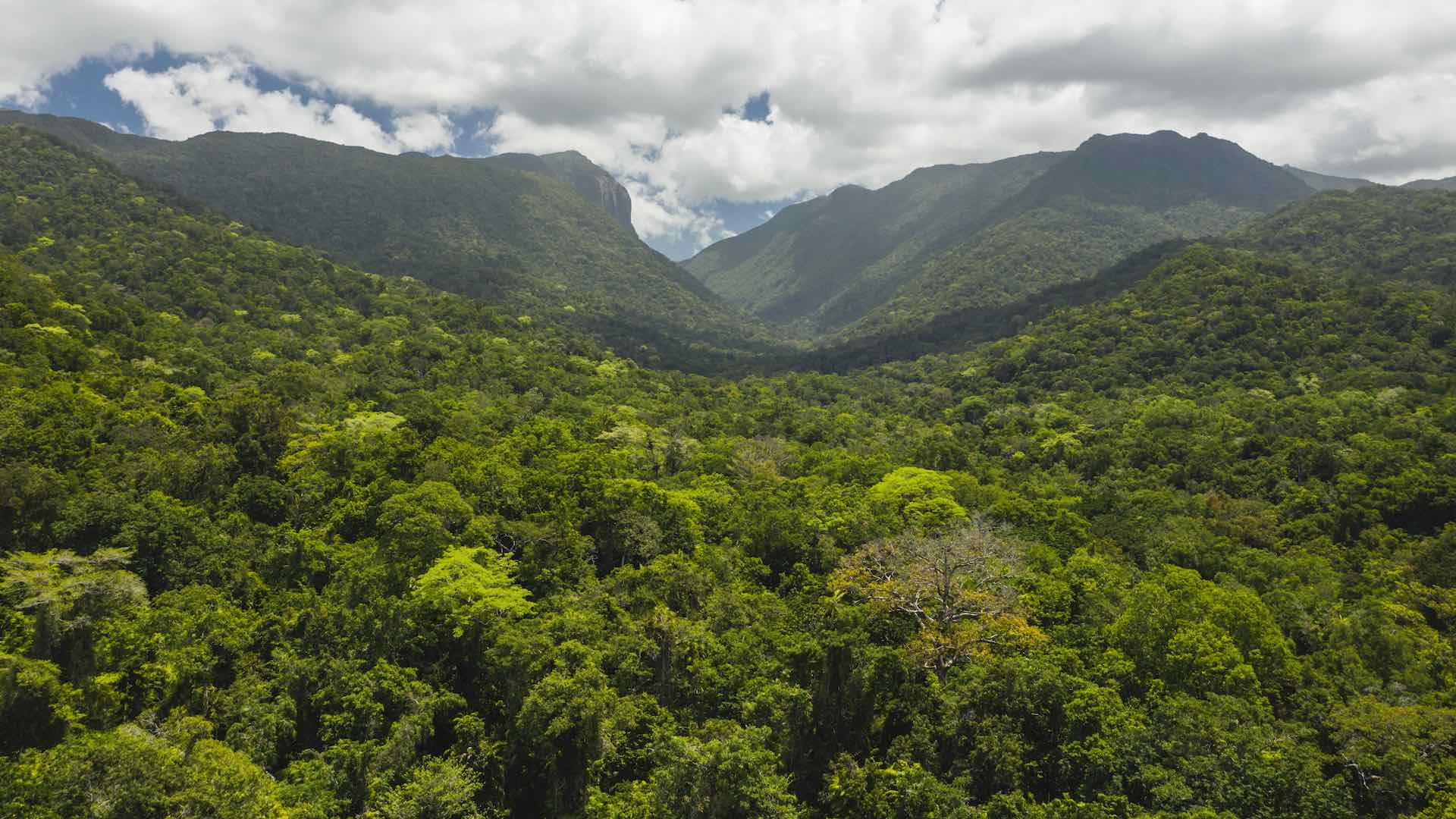 Aerial view of Mossman Gorge, located in the Daintree National Park