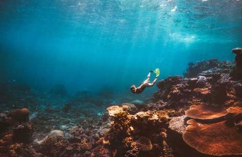 Eight Ways to Experience the Great Barrier Reef That Help Protect its Natural Beauty