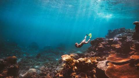 Eight Ways to Experience the Great Barrier Reef That Help Protect its Natural Beauty