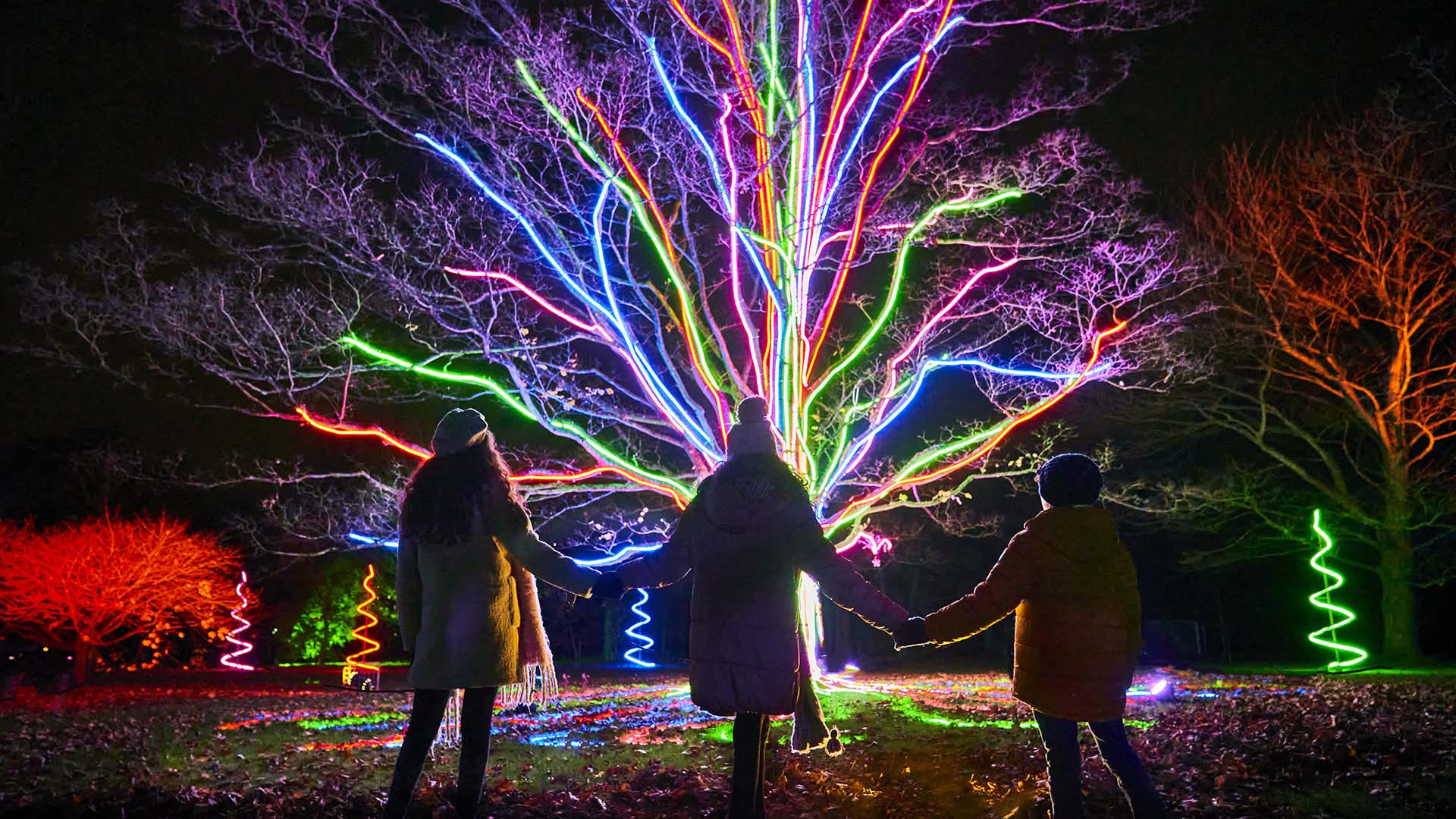 After-Dark Light Festival Lightscape Will Brighten Up the Brisbane City Botanic Gardens This Spring