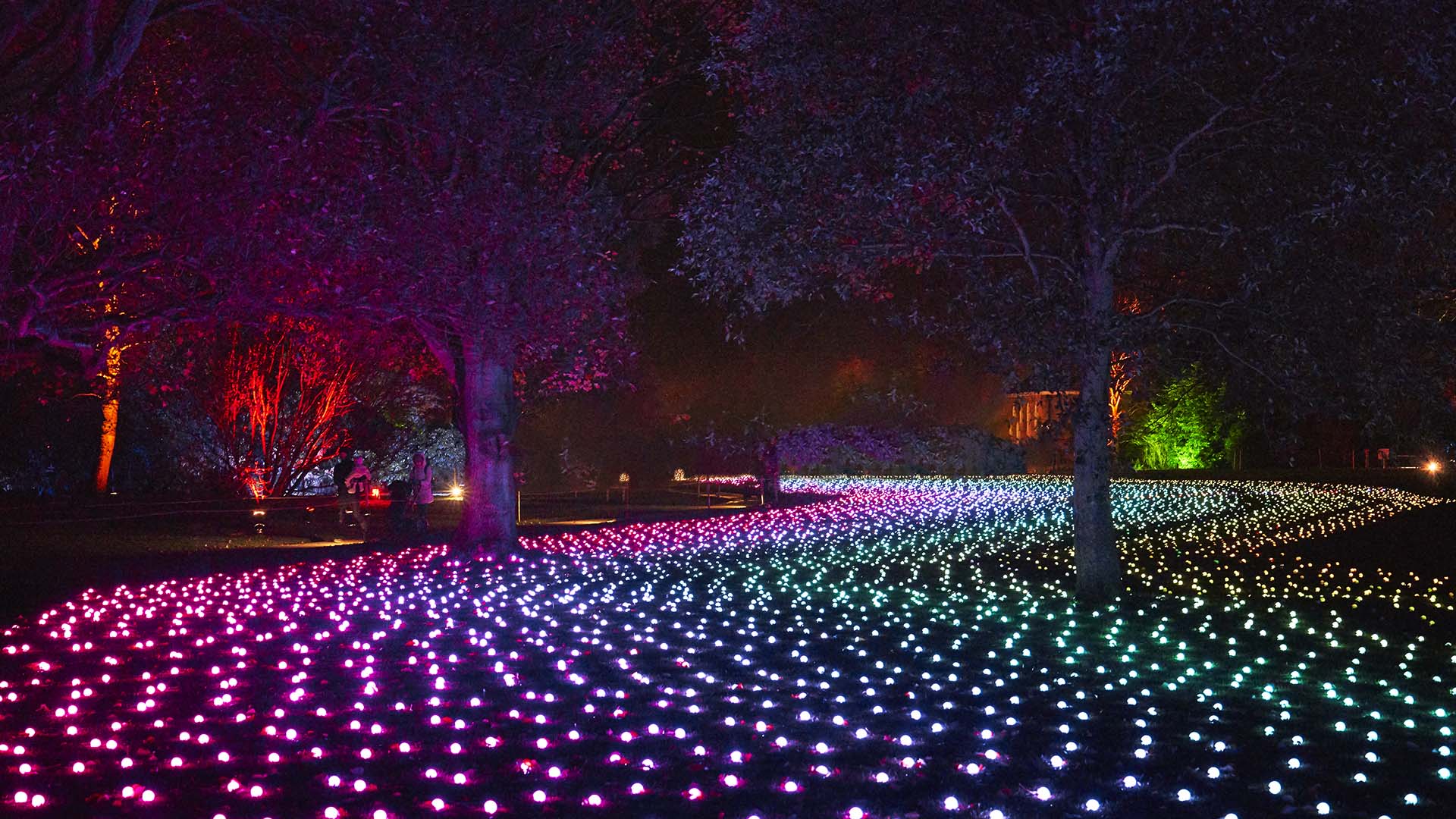 After-Dark Light Festival Lightscape Will Brighten Up the Royal Botanic Gardens Melbourne This Winter