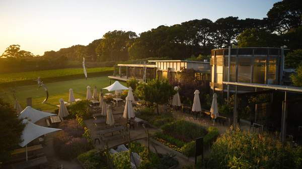 Aerial view of Montalto cellar door at sunset