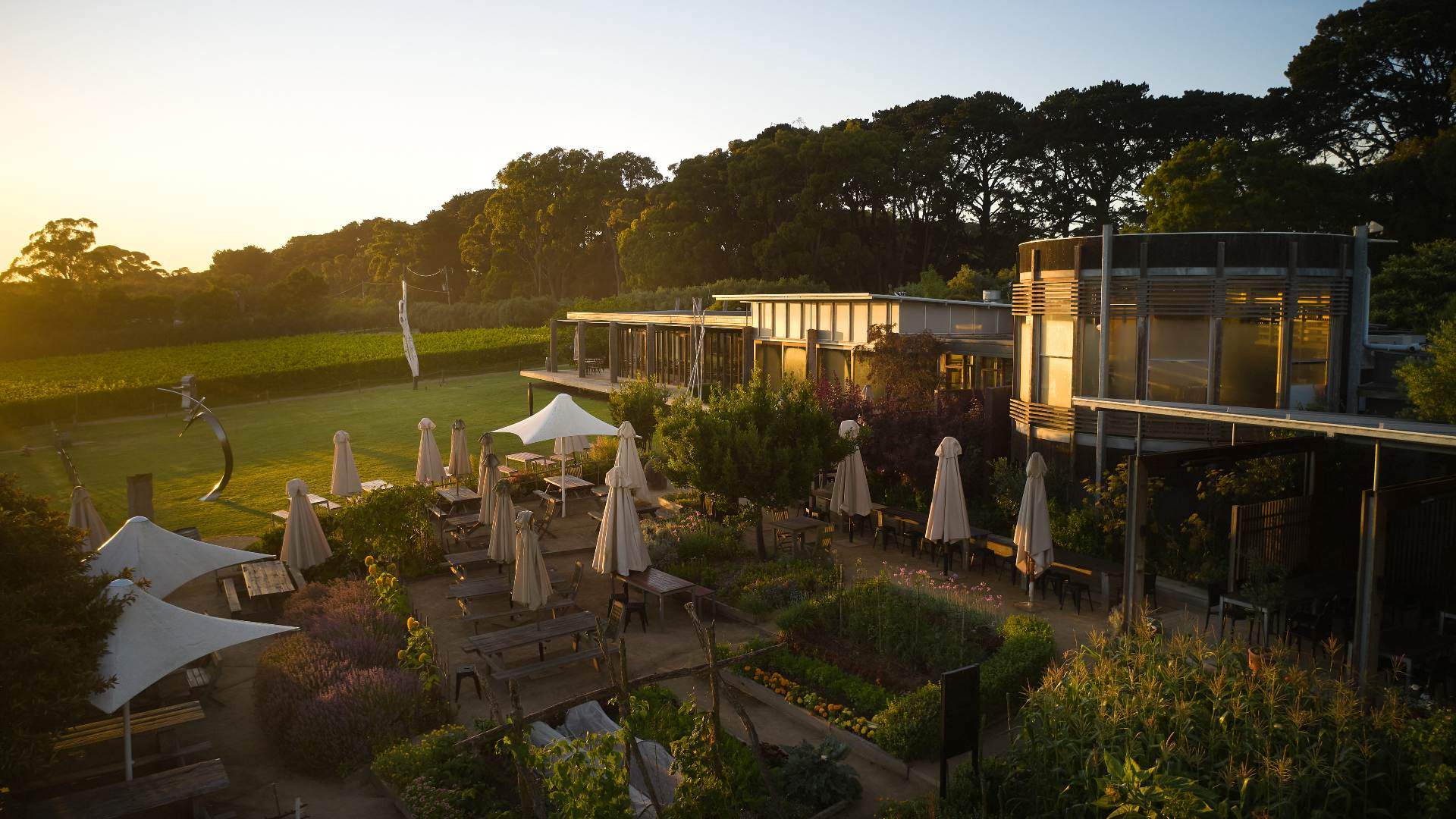 Aerial view of Montalto cellar door at sunset