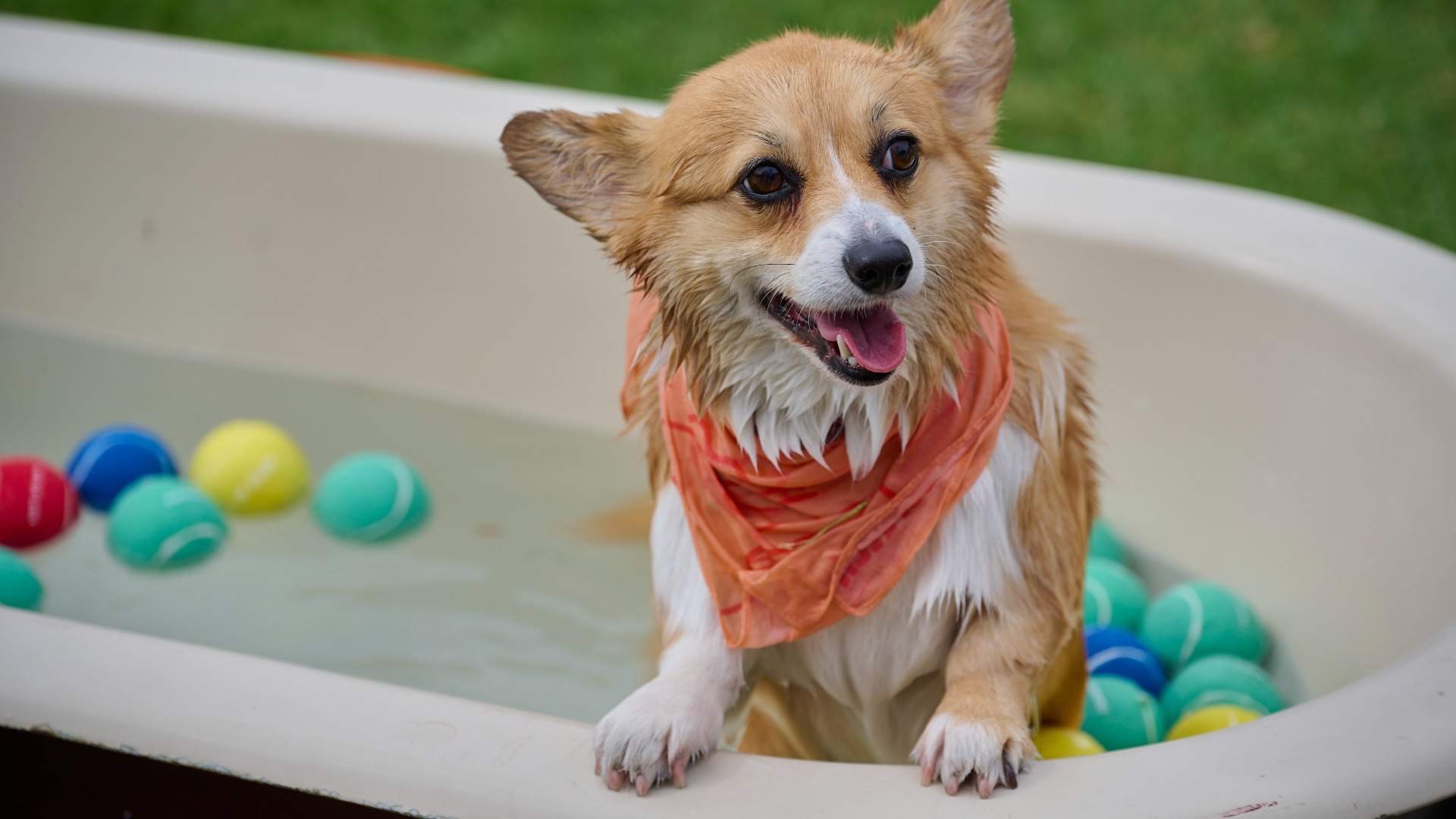 Scratch Patch Concrete Playground