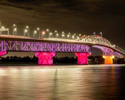World of Cultures Harbour Bridge Light Show