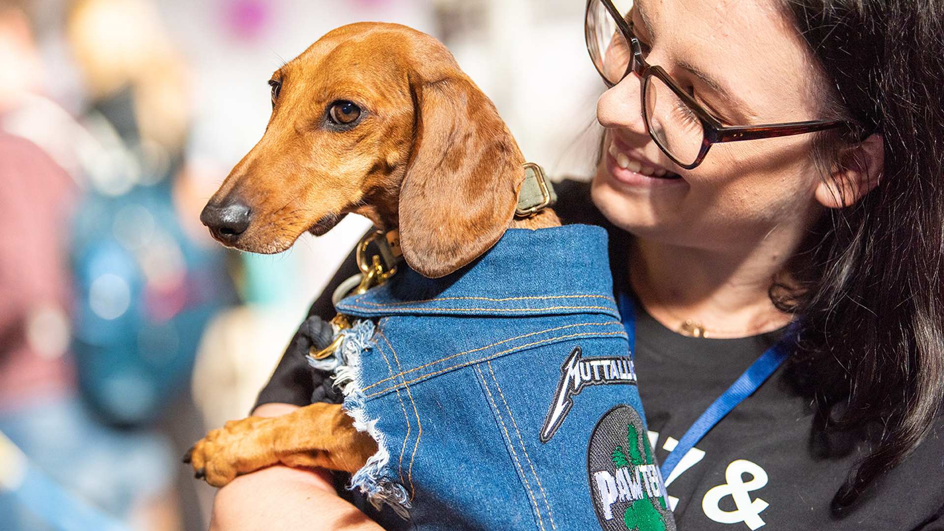 Sydney Dog Lovers Festival 2023, Sydney