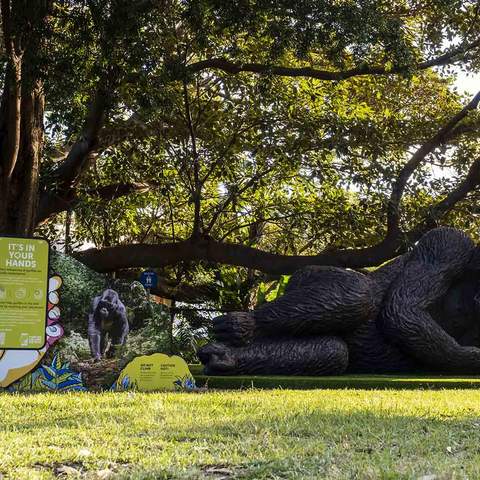 Taronga Zoo Is Now Home to the World's Largest Bronze Gorilla Statue