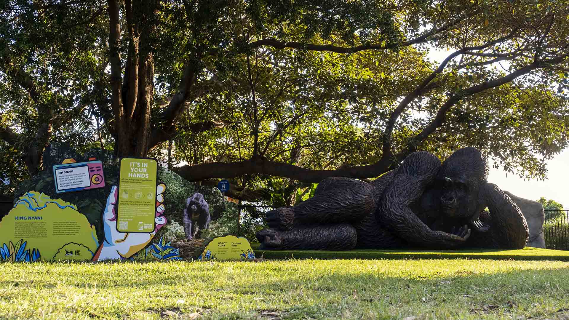 Taronga Zoo Is Now Home to the World's Largest Bronze Gorilla Statue