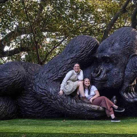 Taronga Zoo Is Now Home to the World's Largest Bronze Gorilla Statue