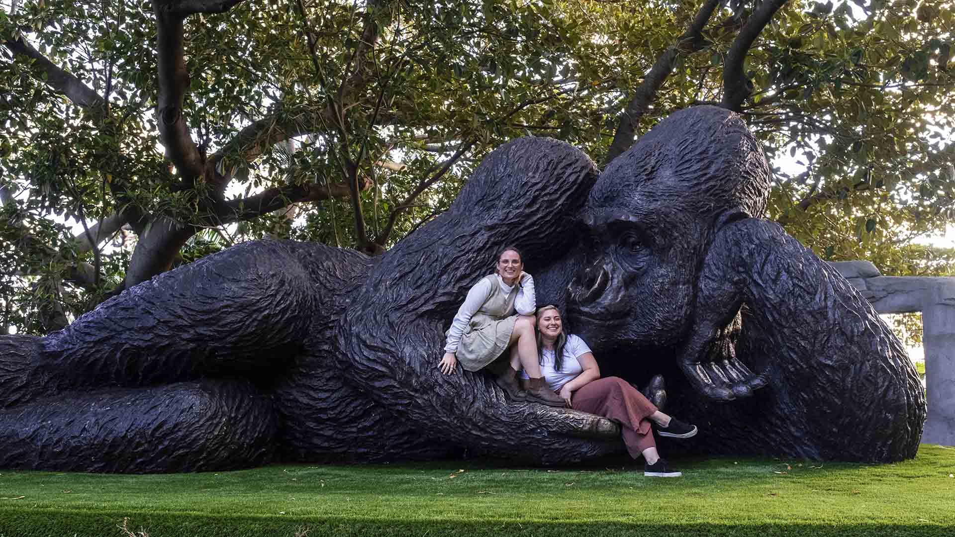 Taronga Zoo Is Now Home to the World's Largest Bronze Gorilla Statue