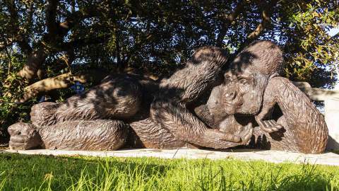 Taronga Zoo Is Now Home to the World's Largest Bronze Gorilla Statue