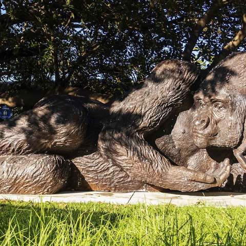 Taronga Zoo Is Now Home to the World's Largest Bronze Gorilla Statue