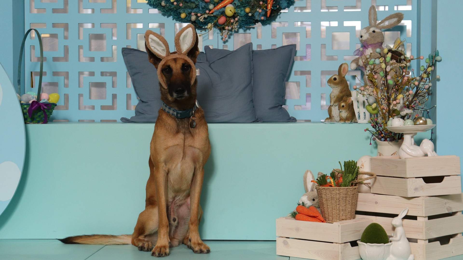 Hop To It: Strike an Easter Pose For a Family Portrait (and Yes You Can Bring Your Pet)