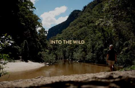 Into the Wild