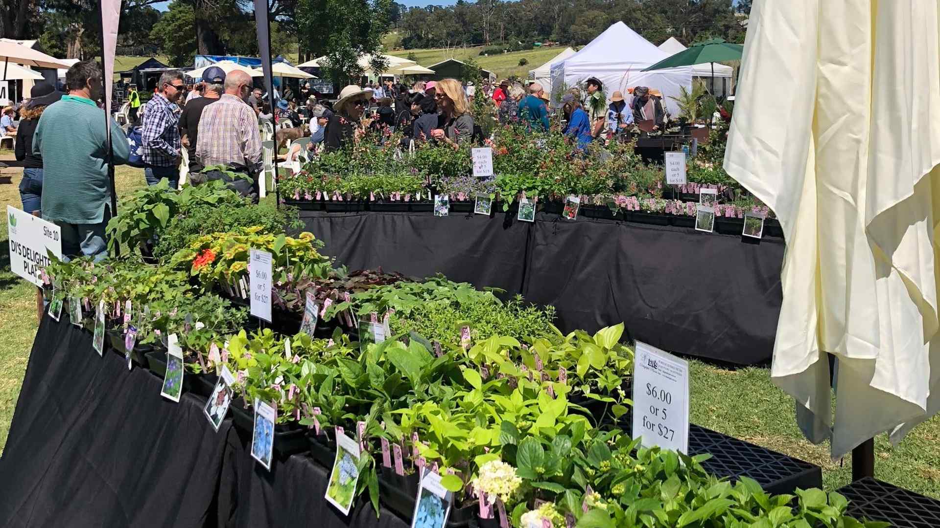 Yarra Valley Autumn Plant Fair and Garden Expo