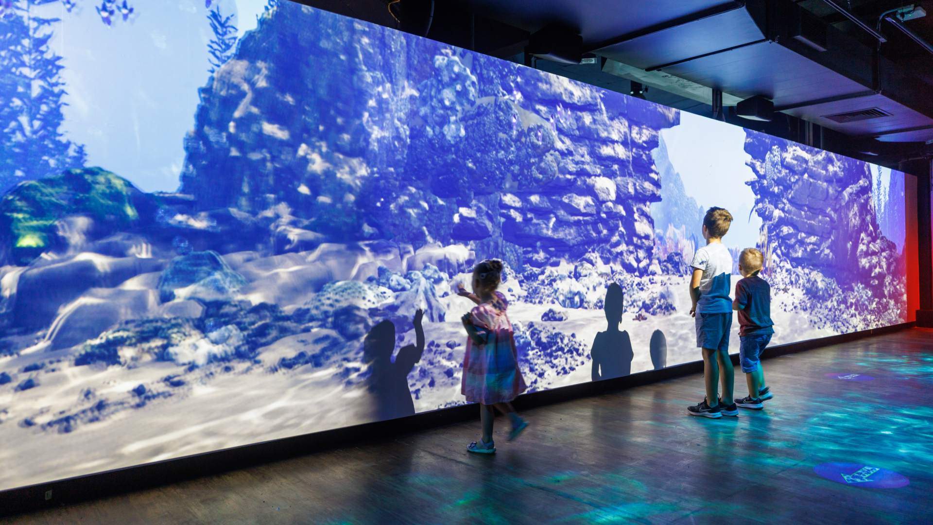 An Auckland Studio's Giant New Digital Exhibition in Melbourne Takes You Beneath the Ocean's Surface