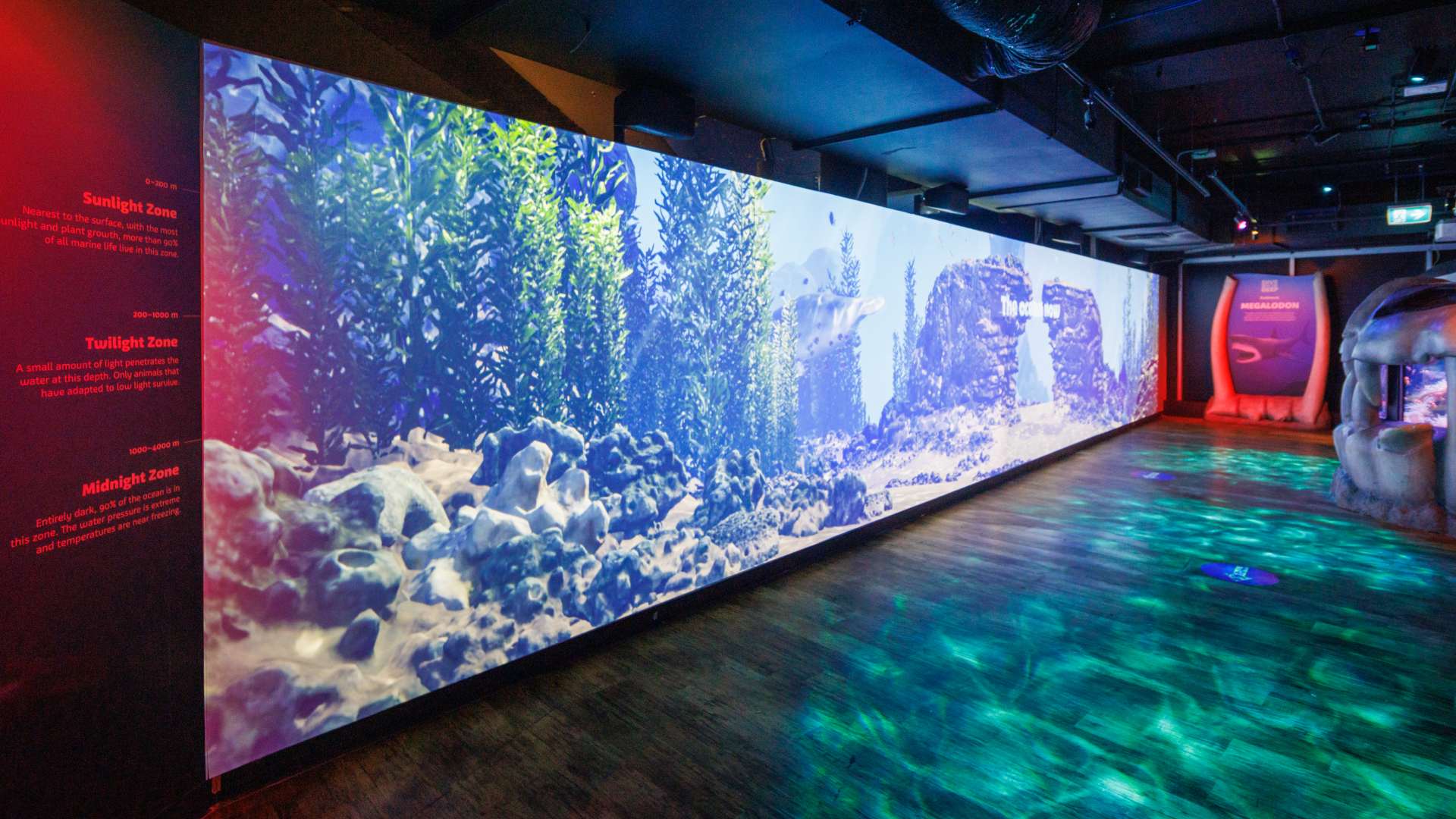 Melbourne Aquarium's New Giant Digital Exhibition Will Take You Deep Below the Ocean's Surface