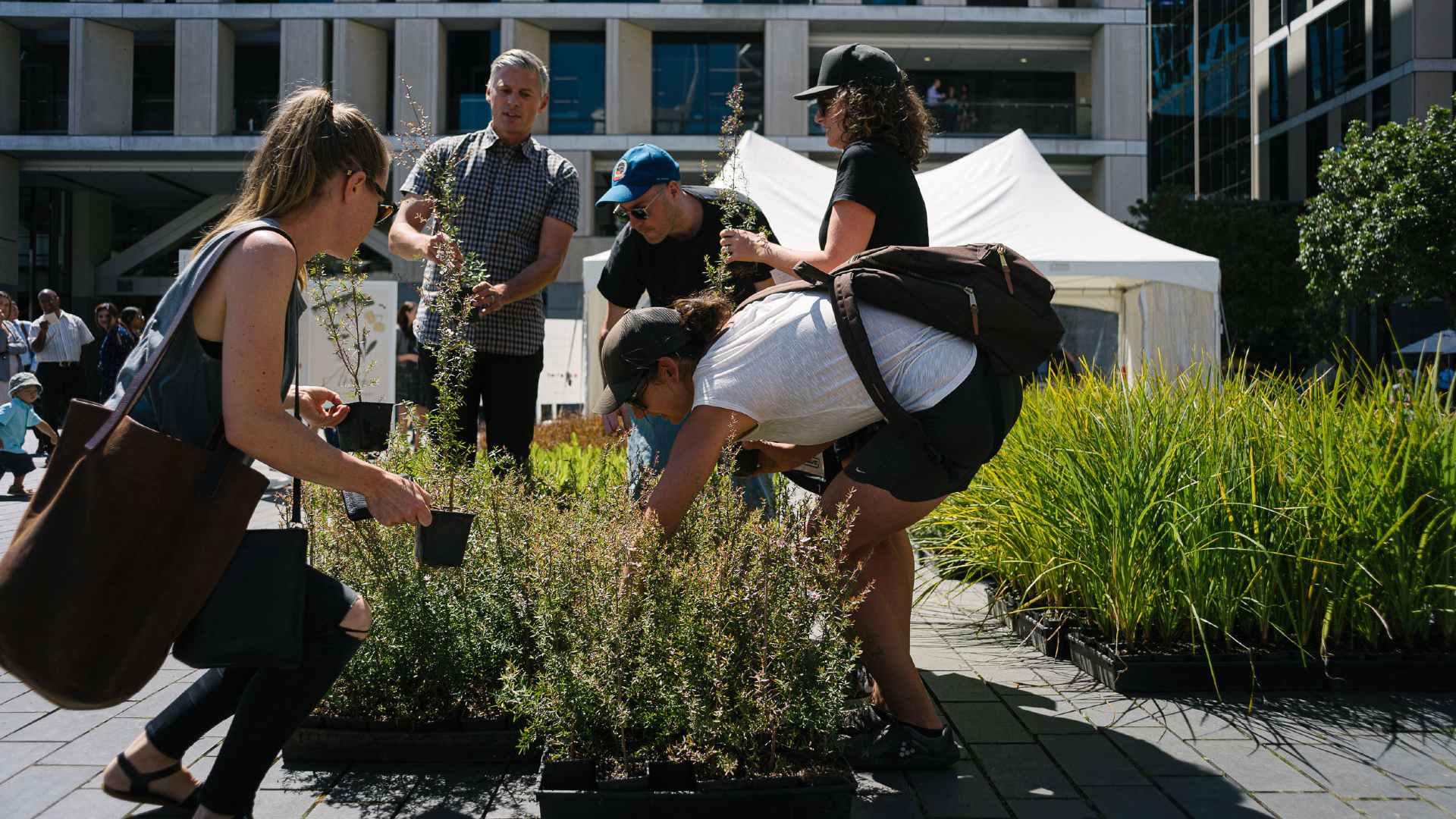 Greening the City