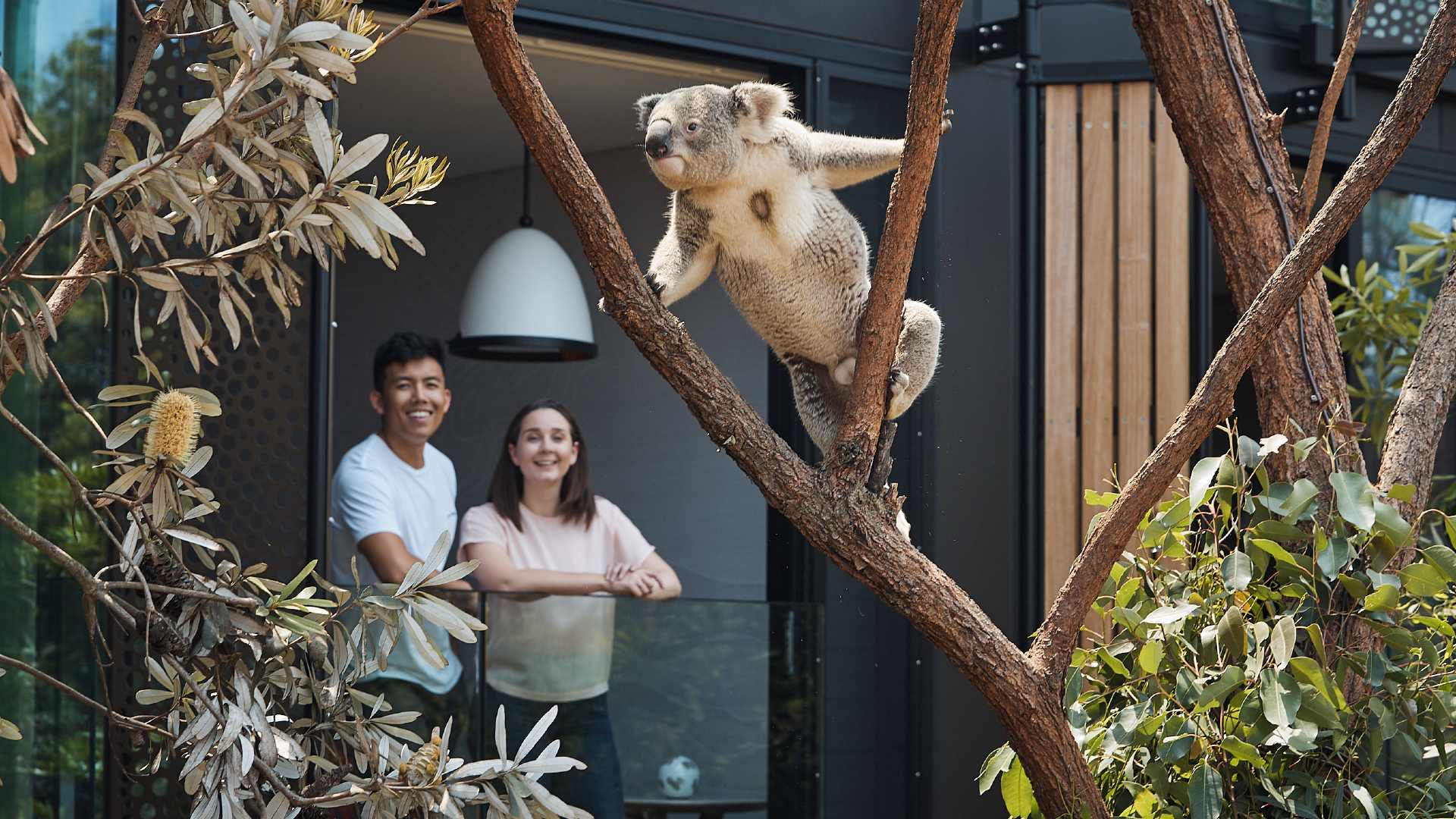 Win an Overnight Stay to Hang Out with the Animals at Taronga Zoo's Luxurious Wildlife Retreat