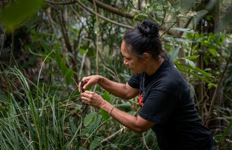 Nine First Nations-Led Cultural Experiences to Have in NSW If You're Seeking a Deeper Connection to Country