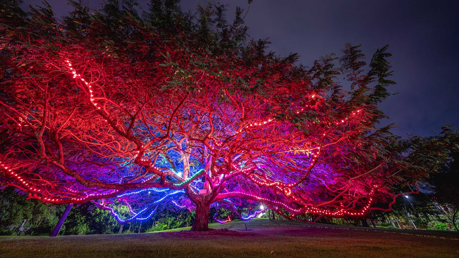 Everything You Need to Put in Your Diary for May