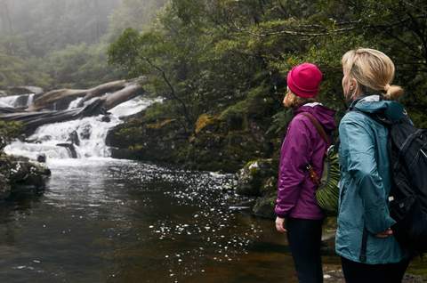 Barrington Tops National Park