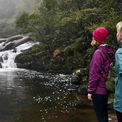 Barrington Tops National Park