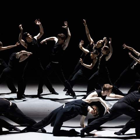 Kunstkamer — The Australian Ballet