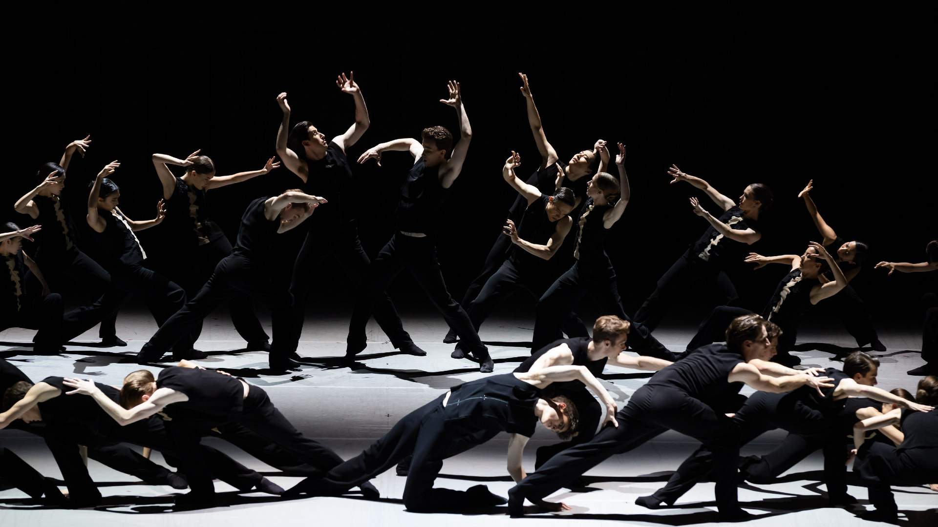 Kunstkamer — The Australian Ballet