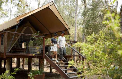 Paperbark Camp