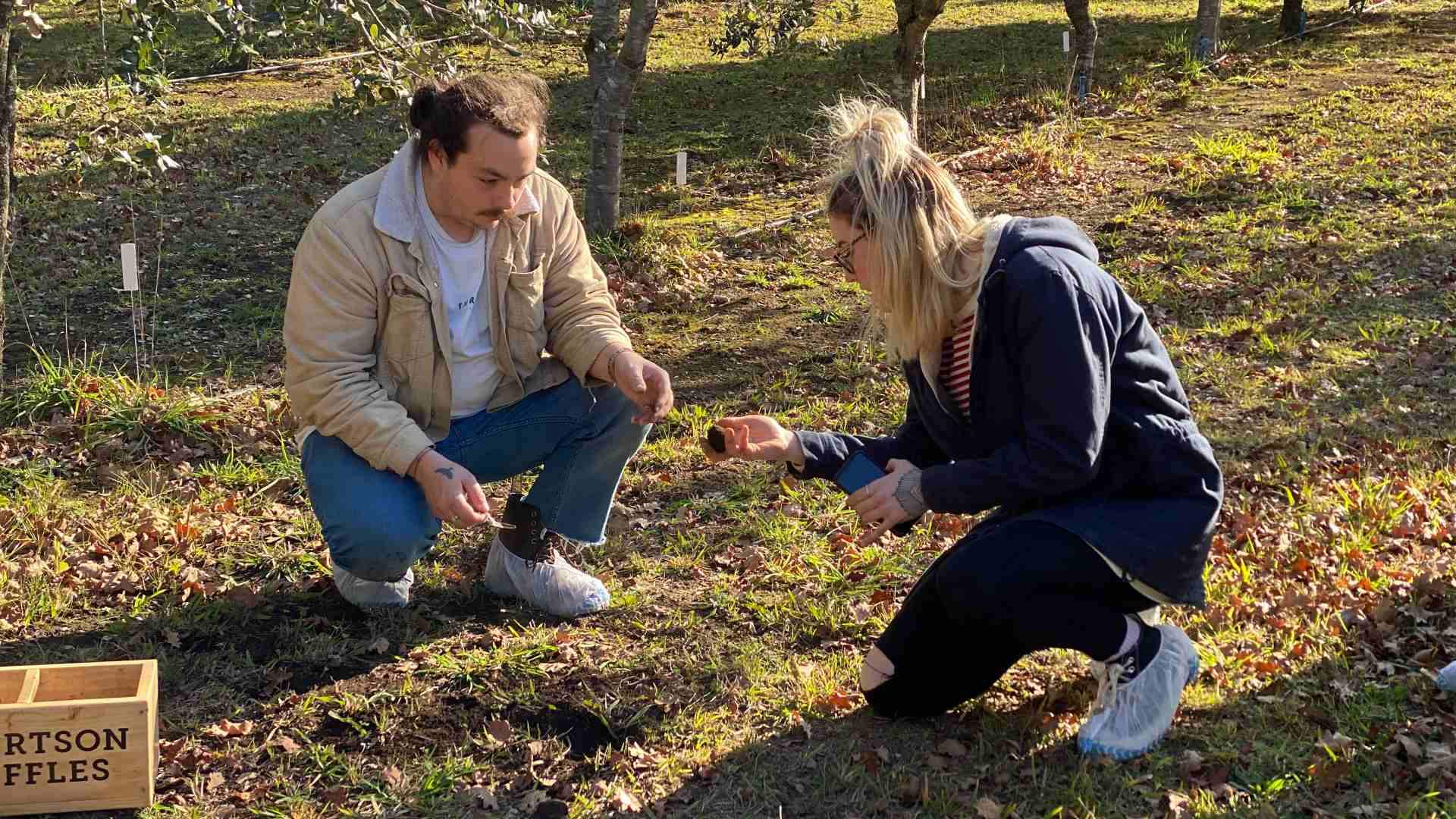 Robertson Truffles Concrete Playground