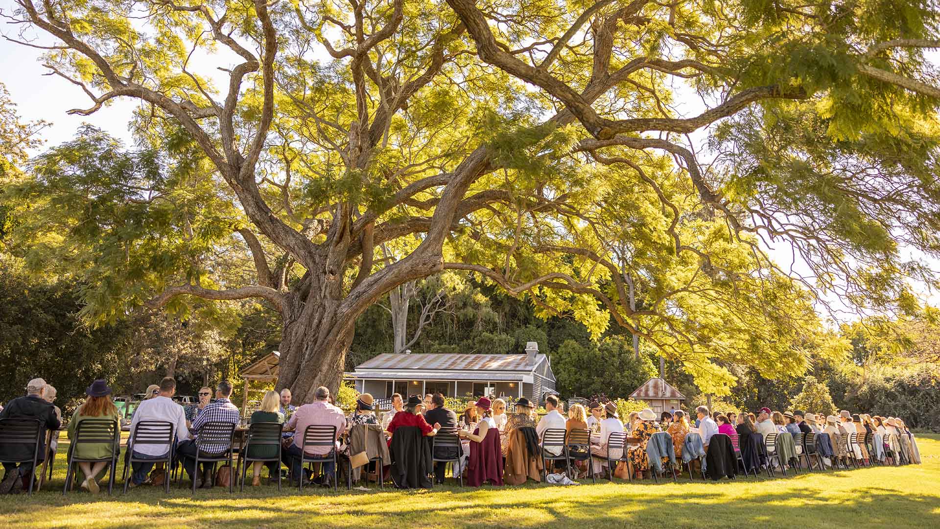 Scenic Rim Eat Local Week Has Unveiled Its Food, Booze, Alpaca and Carrot Ice Cream-Filled 2022 Program